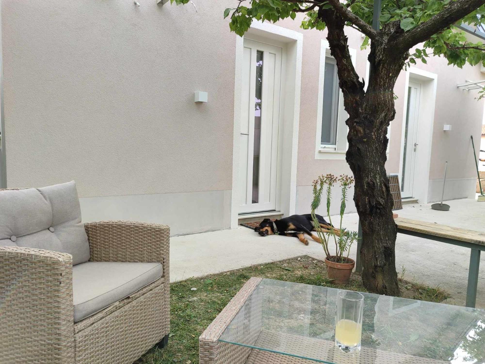Lavanda & Limone Koper Extérieur photo